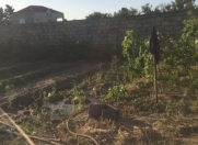 Satılır 13 sot torpaq Sumqayıt