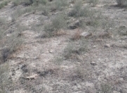 Satılır 210 sot torpaq Masazır