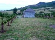 Satılır 250 sot torpaq İsmayıllı