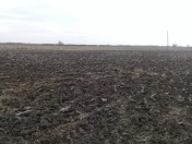 Satılır 38000 sot torpaq Xaçmaz