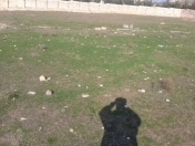 Satılır 55 sot torpaq Novxanı