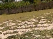 Satılır 1 sot torpaq Saray