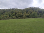 Satılır 32 sot torpaq Qusar