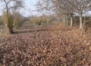 Satılır 70 sot torpaq Göyçay