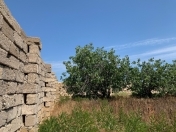 Satılır 12 sot torpaq Maştağa