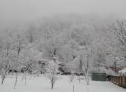 Satılır 10 sot torpaq Qəbələ