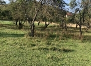 Satılır 12 sot torpaq Quba