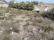 Satılır 2 otaqlı 50 m2 həyət evi Bilgəh