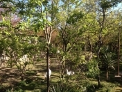 Satılır 10 sot torpaq Əhmədli