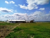 Satılır 1000 sot torpaq Şirvan