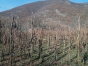 Satılır 3 sot torpaq Qax