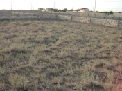 Satılır 6 sot torpaq Türkan