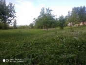 Satılır 12 sot torpaq Quba