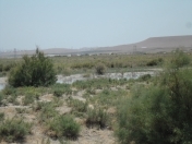 Satılır 10 sot torpaq Perekeşkül