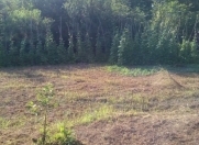 Satılır 4 otaqlı 80 m2 bağ evi Qəbələ