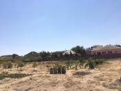 Satılır 32 sot torpaq Saray