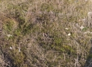 Satılır 2 otaqlı 24 m2 obyekt Kürdəmir