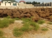 Satılır 2 sot torpaq Buzovna