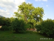 Satılır 8 sot torpaq Lənkəran