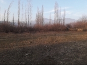 Satılır 20 sot torpaq Qəbələ