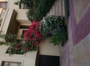 Satılır 10 otaqlı 48010 m2 villa Ayna Sultanova heykəli