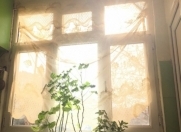 Satılır 1 otaqlı 20 m2 həyət evi Əhmədli m.