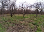 Satılır 20 sot torpaq Xaçmaz