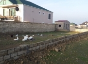 Satılır 3 sot torpaq Koroğlu m.