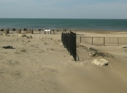 Satılır 30 sot torpaq Pirşağı