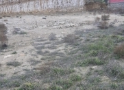 Satılır 22 sot torpaq Badamdar