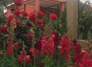 Satılır 11 otaqlı 350 m2 villa Novxanı