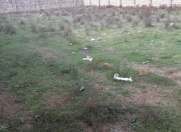 Satılır 8 sot torpaq Nardaran