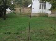 Satılır 3 otaqlı 70 m2 həyət evi Qəbələ