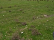 Satılır 50 sot torpaq Məhəmmədli