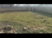 Satılır 7 sot torpaq Fatmayı