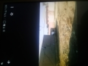 Satılır 3 sot torpaq Digah