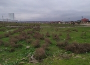 Satılır 25 sot torpaq Məhəmmədli