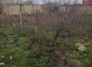 Satılır 6 sot torpaq Mehdiabad