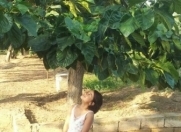 İcarəyə verilir 6 otaqlı 150 m2 bağ evi Bilgəh