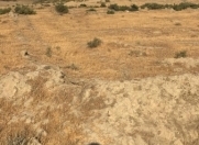 Satılır 2 sot torpaq Məhəmmədli