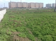 Satılır 20 sot torpaq Məhəmmədli