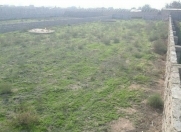 Satılır 12 sot torpaq Türkan