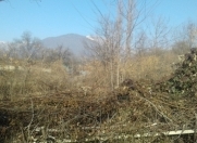 Satılır 60 sot torpaq Qəbələ