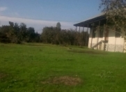 Satılır 88 sot torpaq Qəbələ