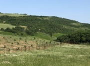 Satılır 8.5 sot torpaq Şabran