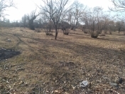 Satılır 50 sot torpaq Qəbələ