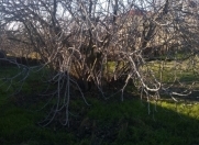 Satılır 24 sot torpaq Fatmayı