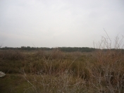 Satılır 6 sot torpaq Pirşağı