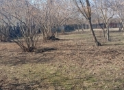 Satılır 86 sot torpaq Qəbələ