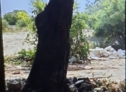 Satılır 6 sot torpaq Ləhic Bağları